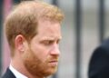Prince Harry ‘monetising’ Royal Family’s grievances from his California mansion