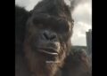 “Kong saved Godzilla..”🥺🥹 |Kong vs Godzilla|Royalty (Slowed & Reverb) #kingkong #godzillavskong