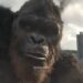 “Kong saved Godzilla..”🥺🥹 |Kong vs Godzilla|Royalty (Slowed & Reverb) #kingkong #godzillavskong
