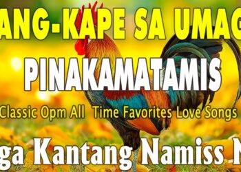 NEW 2026 BEST LOVE SONGS MEDLEY 🥂 Cruisin Oldies 70s 80s 90s [Romantic Greatest Hits]