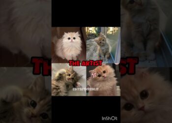 the art vs the artist 🫶👉👈#fypシ゚viral #aestheic #aestheticvideo #viralvideo