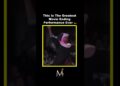The Greatest Movie Ending Performance Ever #moneondabeat #musicproducer #music #hiphop #gospel #rap