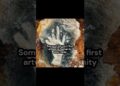 The Some of the Very First Artworks Humanity Ever Made Were Hands #art #archaeology #artwork