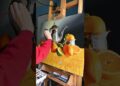 The case for realism #art