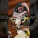 ARTIST OF THE YEAR #shorts #reels #carryislive #carryminati #funny #mecca #artist #lol