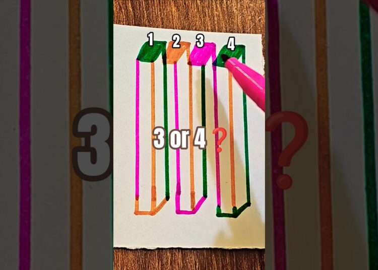 Count the number of bars! #easy #art #trend #bars #artist #illusion