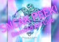 Diamond Art Club SNEAK PEEK! Mystery Kit Fantasy (Ethereal) by Moonbound Studio & DAC