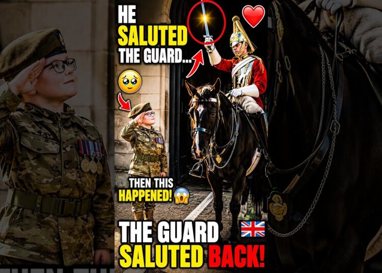 The Royal Guard Saw This Little Veteran Saluting… Watch His Reaction! 🇬🇧🫡