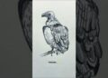 Drawing animals from Memory Vs Reference| part 4|  #art #sketch #artist #arttrend