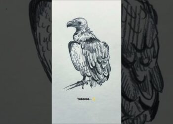 Drawing animals from Memory Vs Reference| part 4|  #art #sketch #artist #arttrend