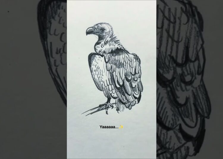 Drawing animals from Memory Vs Reference| part 4|  #art #sketch #artist #arttrend