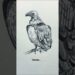 Drawing animals from Memory Vs Reference| part 4|  #art #sketch #artist #arttrend
