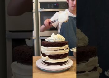 baking a cake for a celebrity 🐍