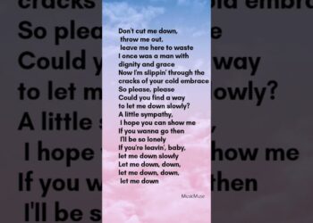 let me down slowly Alec Benjamin lyrics #music #lyrics #song #spotify #lyricvideo #love