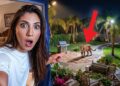 We Found a Real Mountain Lion in our New House! (again)