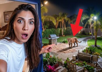We Found a Real Mountain Lion in our New House! (again)
