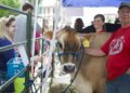 5 fun events happening in Madison this week, June 4-10 🖼️🐮♫ | Entertainment