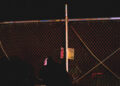 Stereogum home