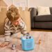 boy on rug with bluey tonies