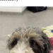 Barry