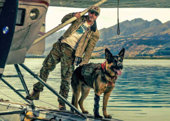 Brad Pitt and a dog take on wolves and the Alaskan wilderness in “Heart of the Beast” trailer
