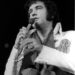 Burning Love Fest brings Elvis tribute shows to Aiken