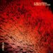 A Beautiful World To Lose - Corella