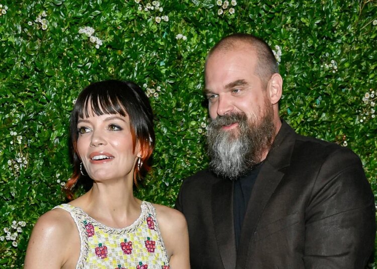 David Harbour Reacts To Lily Allen's Album Allegedly Written About Relationship