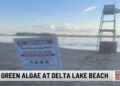 Delta Lake State Park Beach Closed Due to Blue-Green Algae | Entertainment