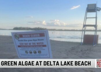 Delta Lake State Park Beach Closed Due to Blue-Green Algae | Entertainment