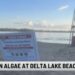 Delta Lake State Park Beach Closed Due to Blue-Green Algae | Entertainment