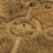 Josh O'Connor stands in a crop circle in "Disclosure Day."