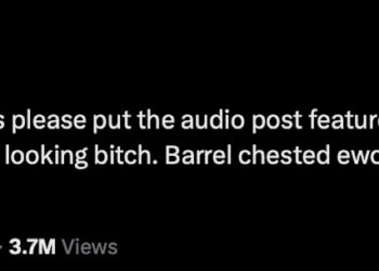A tweet from Doja Cat addressing Elon Musk, requesting the return of the audio post feature with humorous insults.