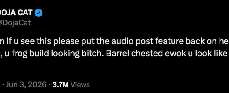 A tweet from Doja Cat addressing Elon Musk, requesting the return of the audio post feature with humorous insults.