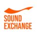 ENTERTAINMENT INDUSTRY VETERAN MICHELE PAGE JOINS SOUNDEXCHANGE AS GENERAL COUNSEL