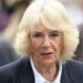 The Duchess identified Queen Camilla as a key figure to thaw tensions.Mega