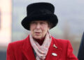 Princess Anne has a reputation as the monarchy's most tireless worker.Mega
