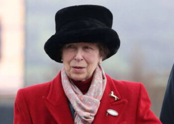 Princess Anne has a reputation as the monarchy's most tireless worker.Mega