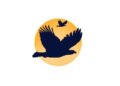 EagleVision Entertainment Corporation Launches Nature, Incorporated (Nature, Inc.): Uncut Stories Highlighting Nature's Wisdom