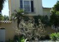 elizabeth taylor california home