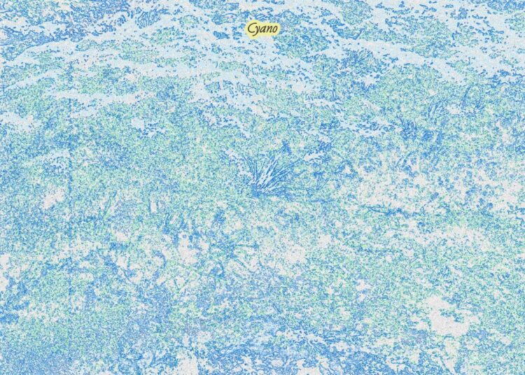 Stereogum home