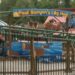 Enchanted Forest Water Safari Now Open | Entertainment