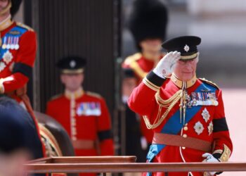 Trooping the Colour The King's Birthday Parade members of the royal family appeared on the Balcony of Buckingham Palace today