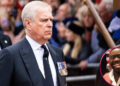 Andrew Lownie accused ex-Prince Andrew of 'grinding himself' into a flight attendant's 'behind.'@jjanisiobi/Instagram;MEGA