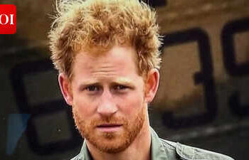 Former royal aide says Prince Harry and Prince William can reconcile: 'I'm a perennial optimist'