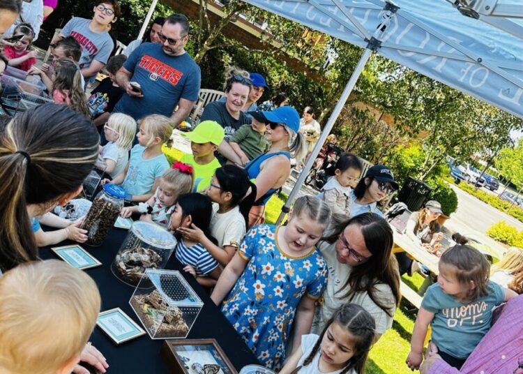 Free Family Events in Rochester Hills This June: Concerts, Music Classes & Live Bug Encounters