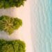 From Runway to Resort: Luxury Brands as IP-Driven Experiences