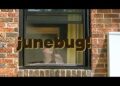 GAYLE - junebug! (official lyric video)