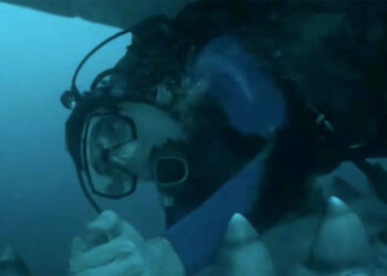 Giant squid drags Austin Abrams inside a giant whale in heart-pounding “Whalefall” trailer