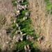 'Groundswell' spotlights regenerative agriculture movement